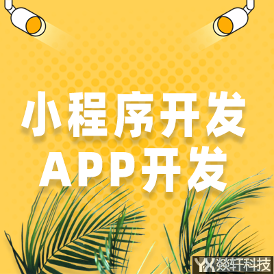 定制開發(fā)有什么好處？為什么要開發(fā)app？使用起來效果不好？